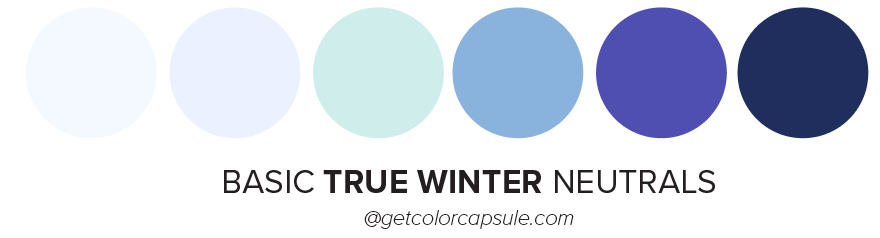 True Winter Neutrals Corporate Colors